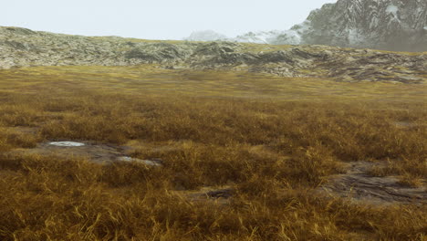 campo de hierba con fondo de montaña