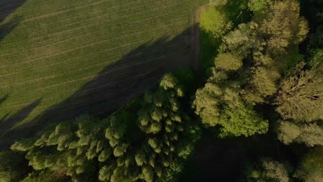 Langsame-Drohnenantenne,-Die-über-Felder-Und-Wälder-Im-Kurland-Von-Lettland-Fliegt