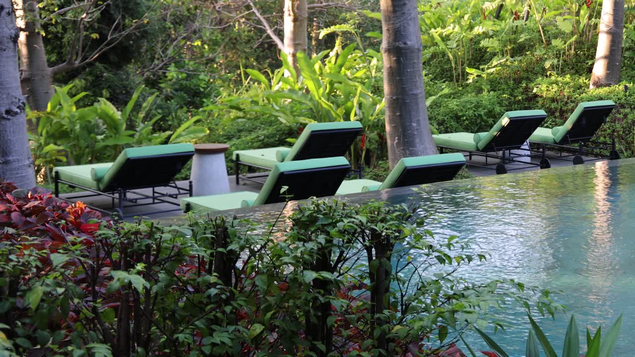 울창한 초록색과 나무 가운데 평화로운 수영장