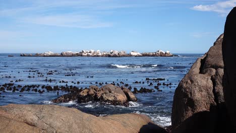 costa oeste de sudáfrica