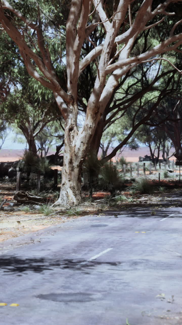 외을 가로지르는  빈 길