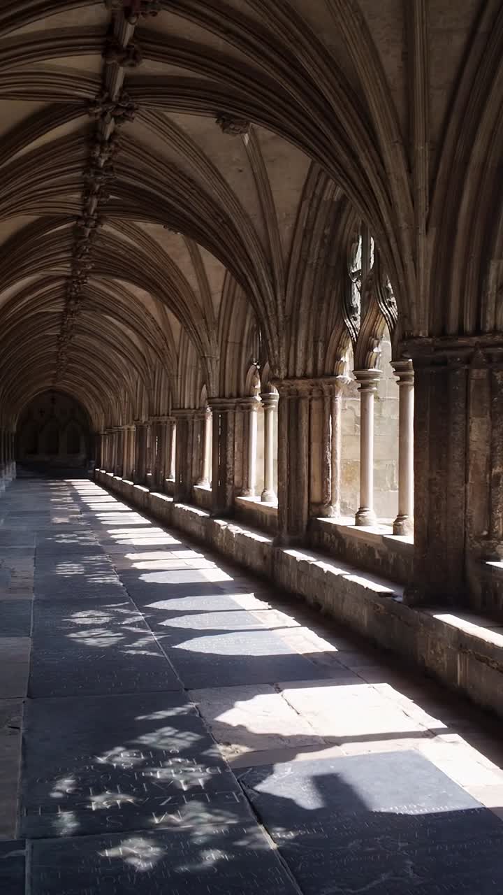 Vaulted cloister arches in medieval cathedral architecture VERTICAL pan