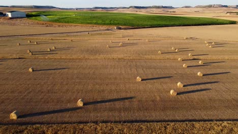 Straw-bales-at-sunset-seen-from-the-air,-drone-view