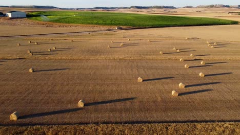 straw bales at sunset seen from the air, drone view