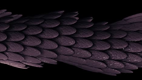 dark purple dragon scales texture