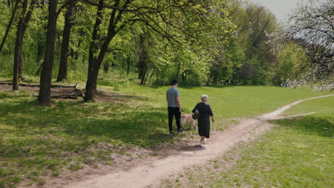 couple and dog walking in a park