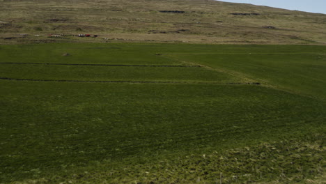 antena - hermosas colinas verdes, hvitserkur, vatnsnes, islandia, toma ancha hacia adelante