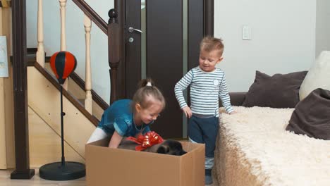 surprised children near box with puppy