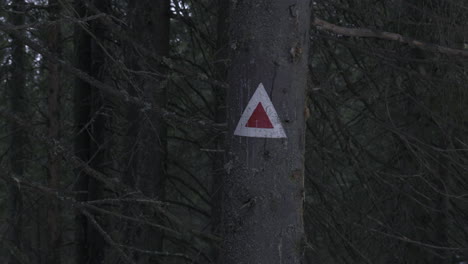 Tourist-marker-painted-on-the-tree