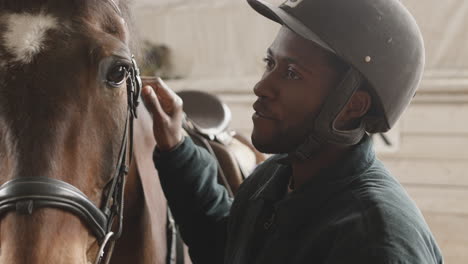 hombre acariciando un caballo marrón