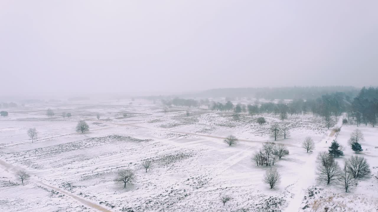 Luftfoto over snebeklædte vintermarker i Veluwe Nationalpark