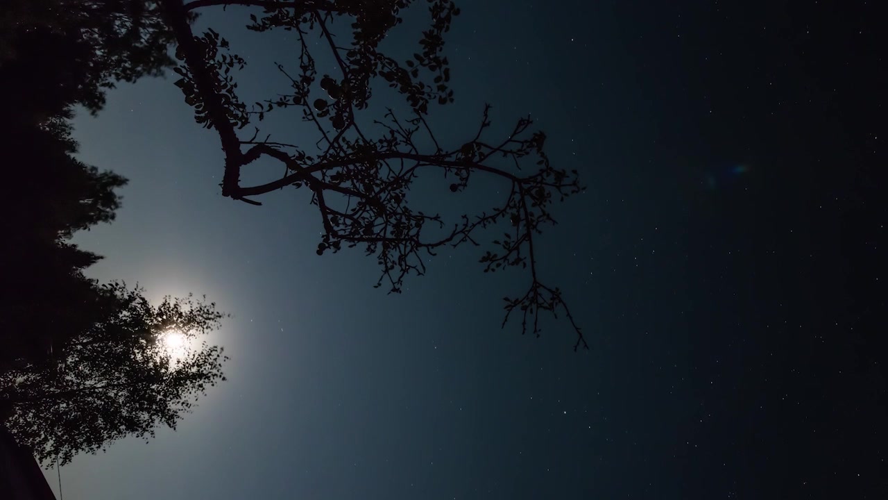 vertical waiting time lapse of moon and sky full of stars. will be most suitable for mobile videos-stories or vertical movies