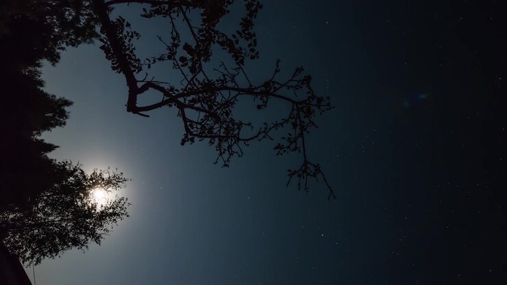 Time-lapse verticale della luna e di un cielo stellato. Ideale per video-storie mobili o filmati verticali