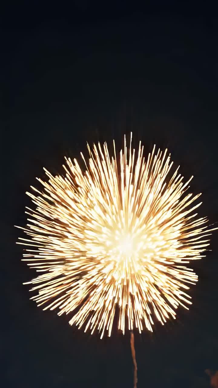 Un video verticale cattura una vista mozzafiato dall'alto di fuochi d'artificio che esplodono nel cielo notturno
