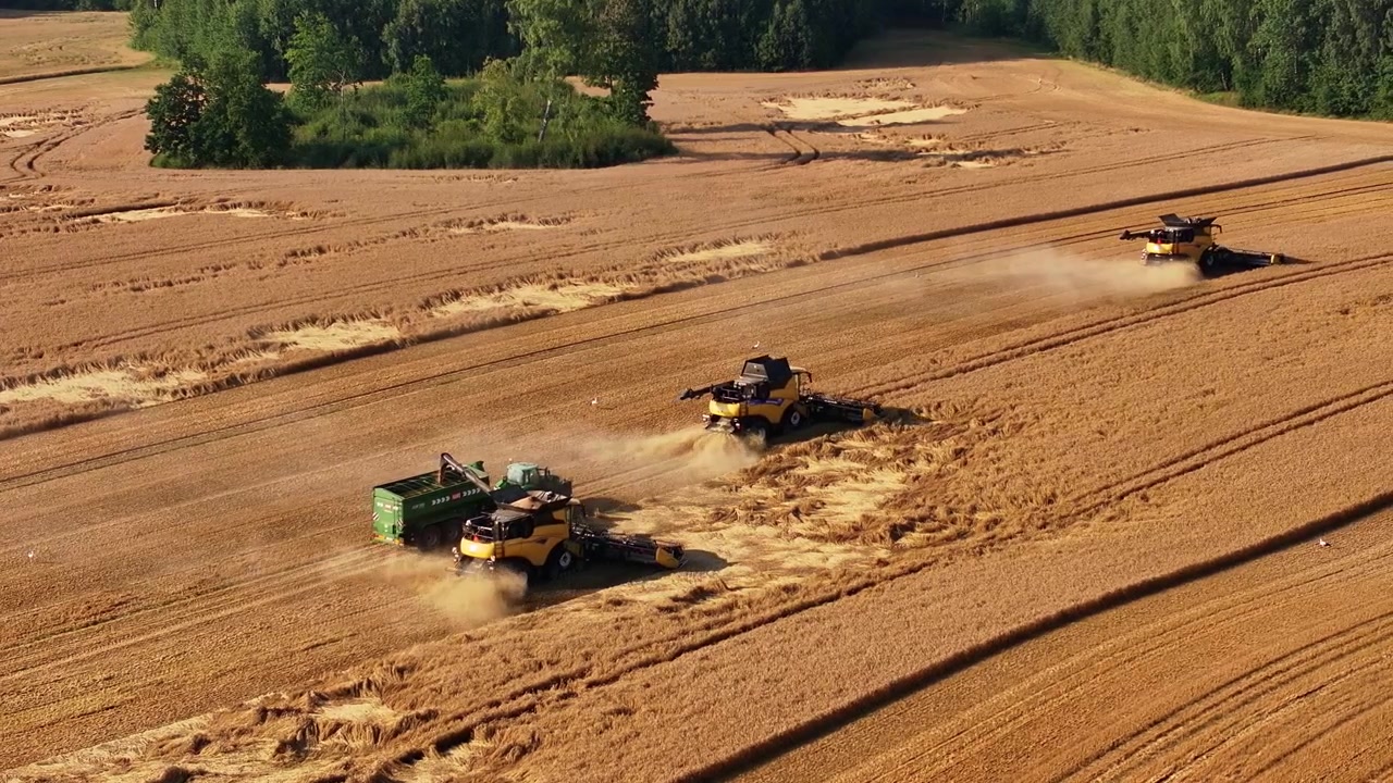 Luftoptagelser med drone af tre mejetærskere og en traktor, der høster hvede på en stor landbrugsmark i Letland under sommerhøstsæsonen
