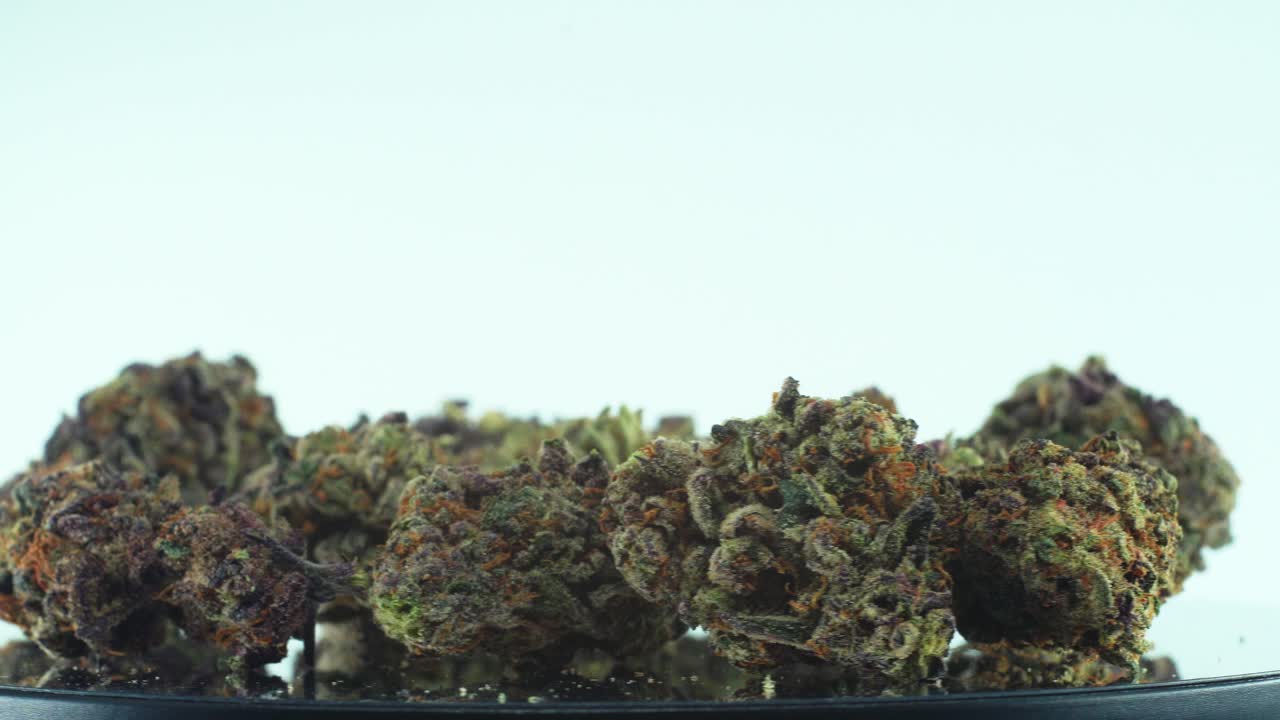 Primo piano di fiori di Cannabis sativa Sour Diesel, verdi e viola, su un espositore rotante, video 4K al rallentatore