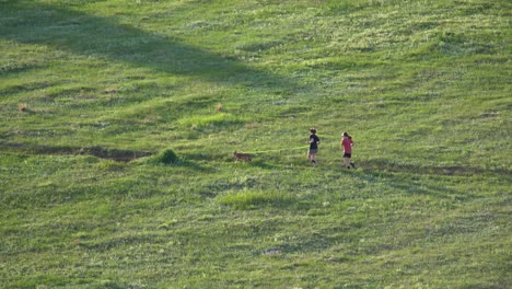 man trail running in a green field