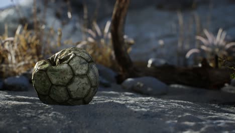 una vieja pelota de fútbol rota arrojada yace en la arena de la playa del mar