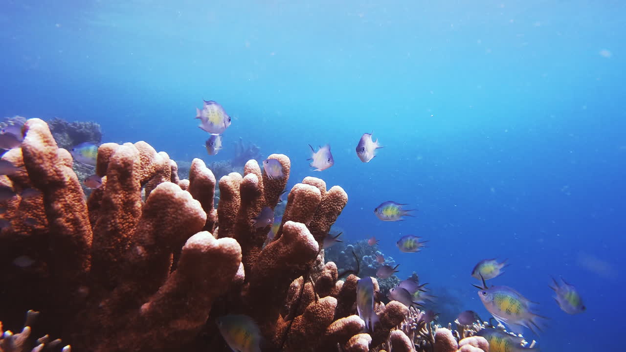 ¿dónde más en el mundo encontrarás tal belleza?