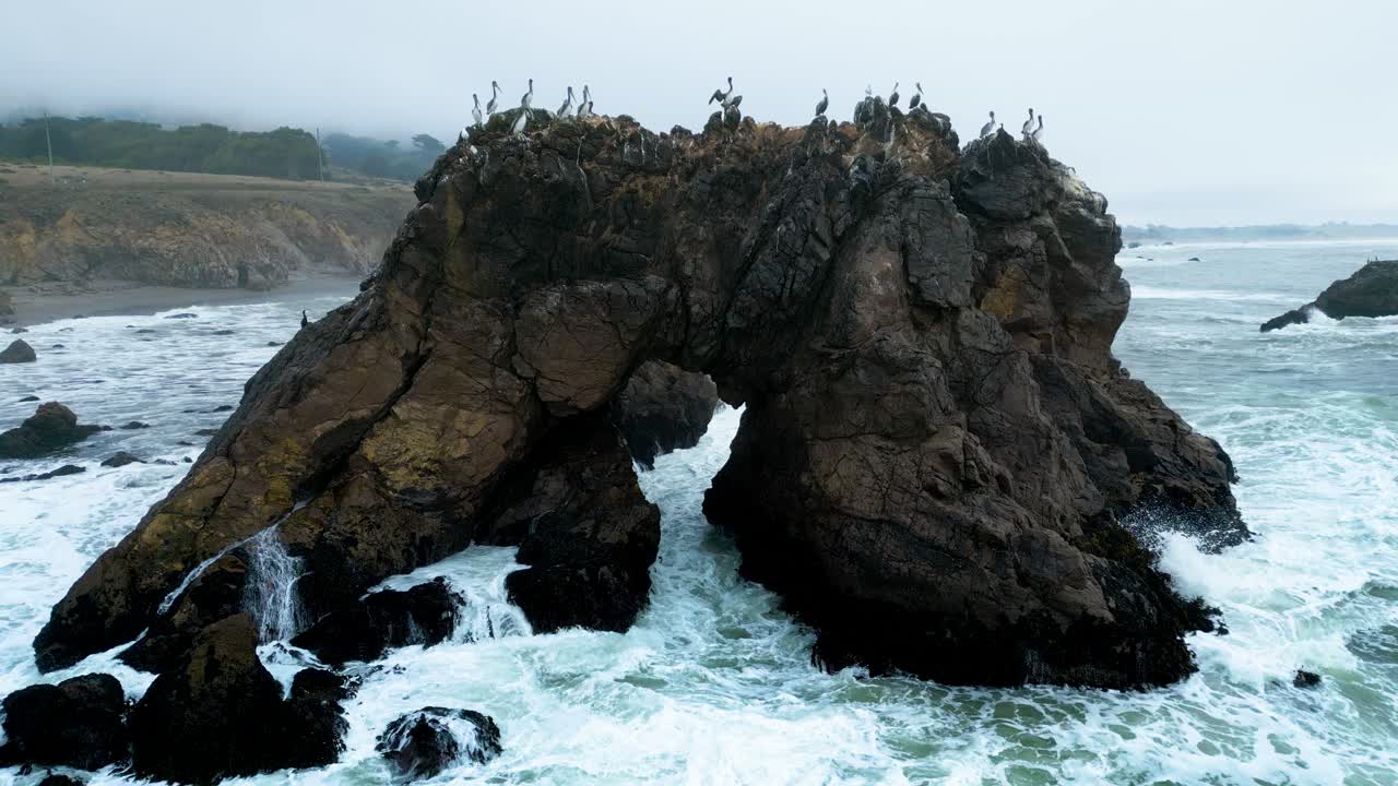 파도가 슬로우 모션으로 충돌할 때 아치형 바위에 자리 잡은 새들, 소노마 카운티 보데가 베이, 하이 웨이 1, 캘리포니아