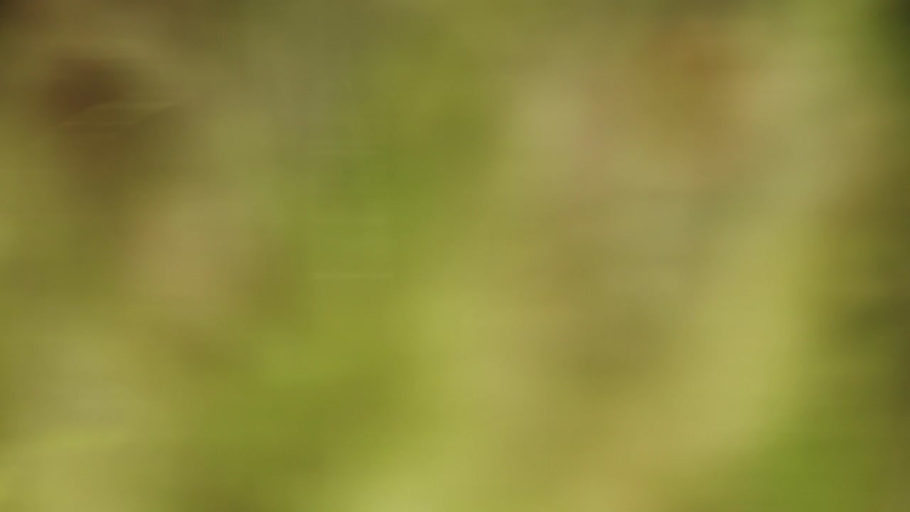 Fondos de colores desenfocados