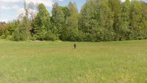 Detective-entering-forest-Courland-Latvia-for-investigation-aerial