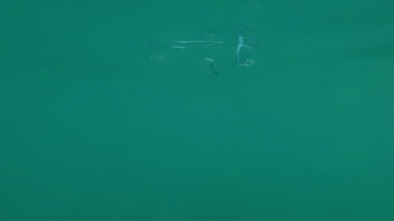 쓰레기로 바다를 오염시키는 바닷물에 빈 플라스틱 병이 떠다니는 것은 나쁜 생태학입니다.