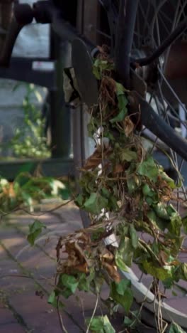 bicycle with leaves and debris