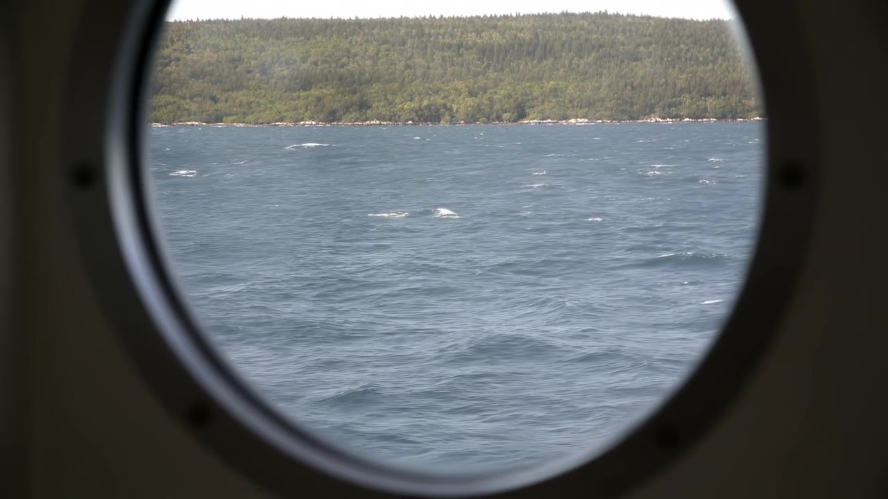 Small waves move across open water while a wooded shoreline remains in the distance, viewed through a circular window that creates a strong natural frame around the coastal scene.