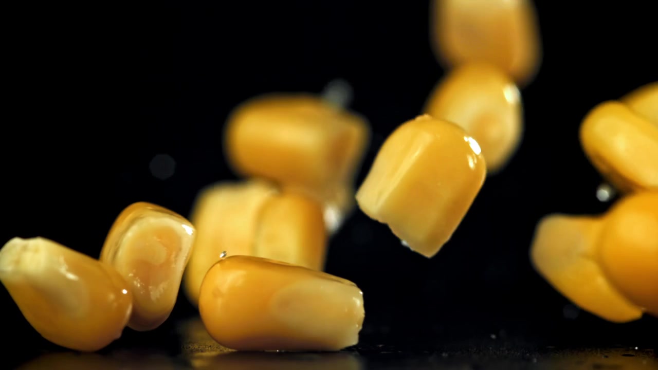Fresh Yellow Corn Kernels Falling in Super Slow Motion