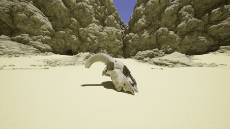 desert landscape featuring an ancient animal skull against rock formations
