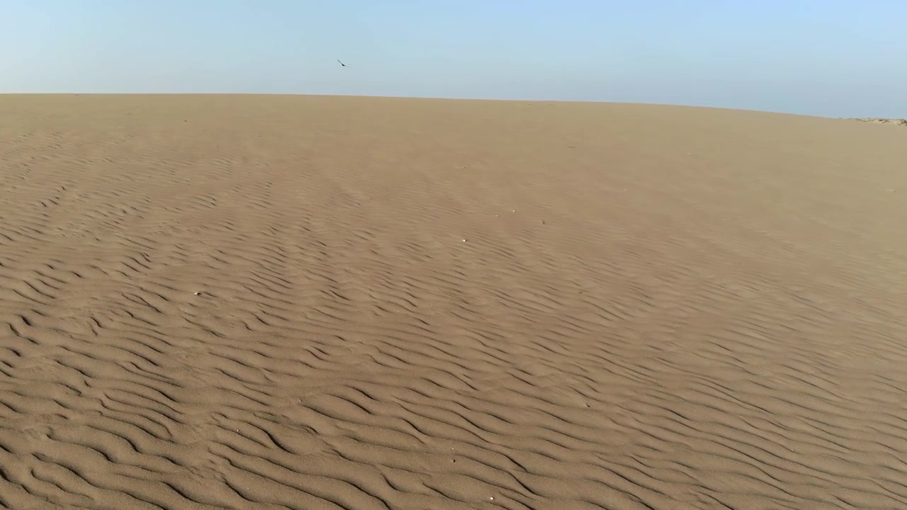 Vaste dune di sabbia sotto un cielo azzurro e limpido