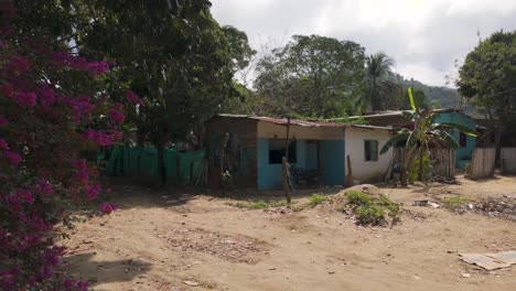 vida en el pueblo de palomino, exuberante vegetación, colombia