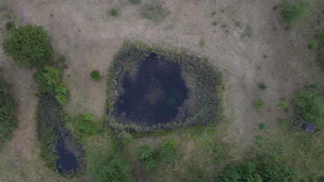 vista aérea de un estanque en un campo