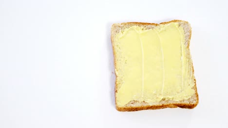 mantequilla en una rebanada de pan