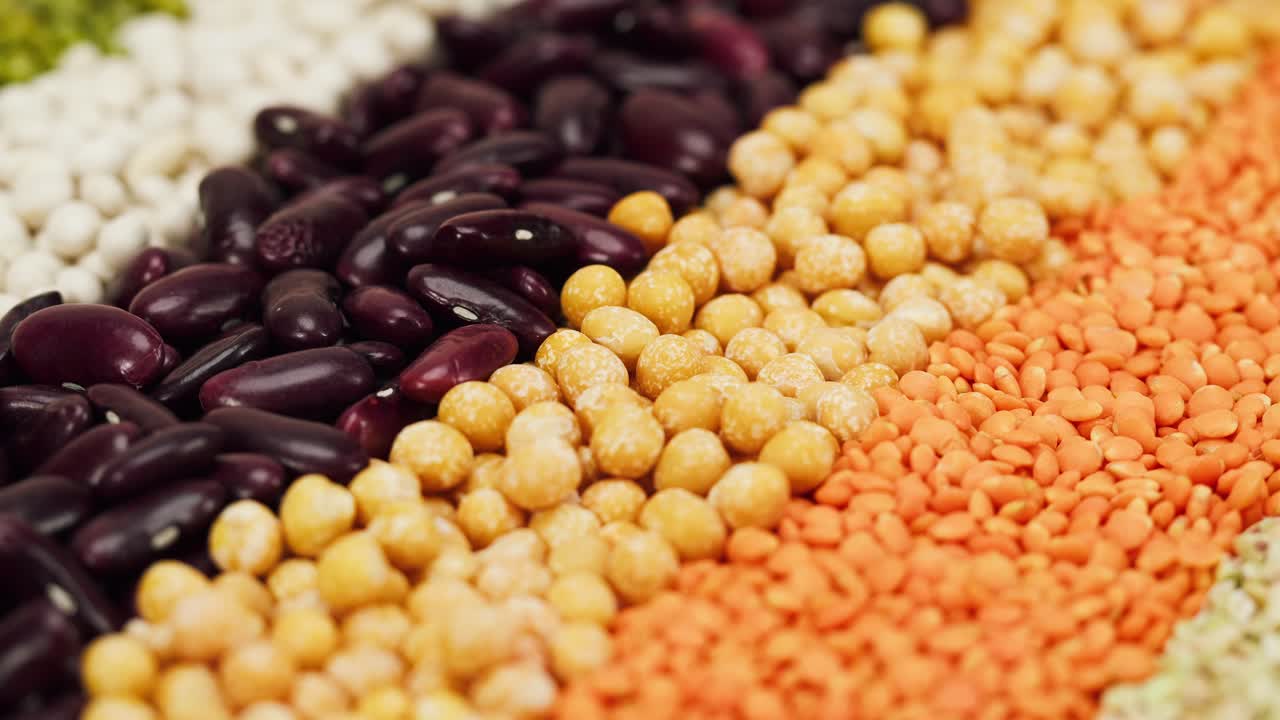 Close Up of Assorted Dry Legumes and Grains Arranged in Stripes