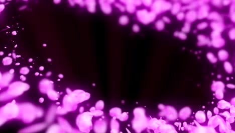 de las flores de cerezo, animación en cg, bucle de giro