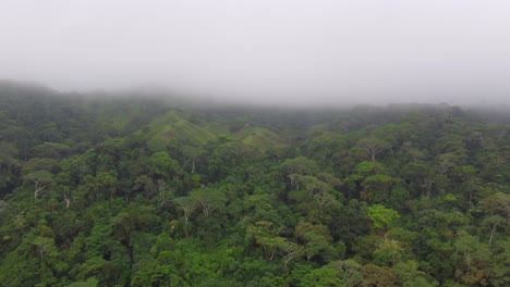 Aerial-image-of-a-large-environmental-preservation-area-in-Santa-Marta-at-dawn-in-Colombia