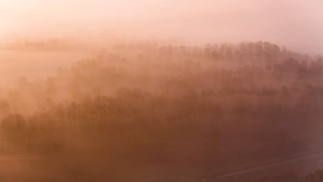 amazing aerial shot of a fog shrouded forest in the early morning lit with orange and pink light, inviting and peaceful