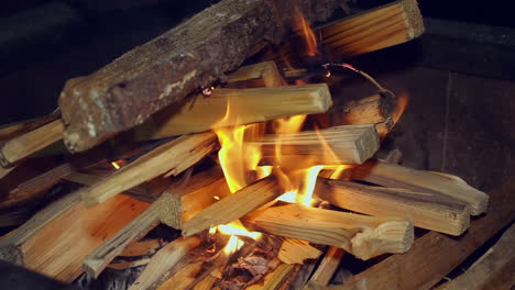 firewood stacked in hot camp fire begin to burn on dark black night