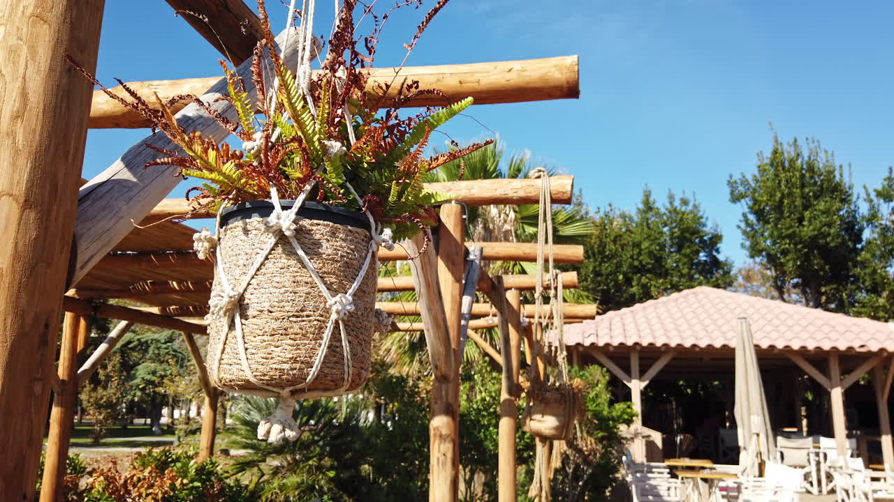 Flowers in a hanged pot in a gazebo on aegean coast. Beach in Greece