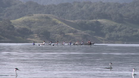 panorámica de un barrido de remo de ocho personas seguida por su entrenador en lake casitas en oak view california