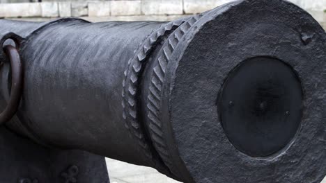 cannon