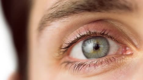 primer plano de un ojo gris femenino contra un fondo blanco