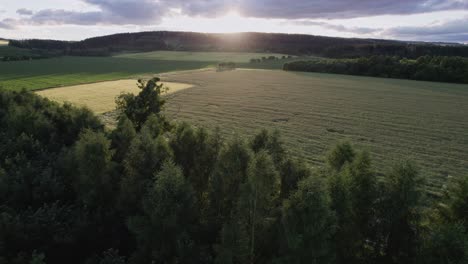 beautiful flight over forest, road and fields to sunset and horizon of clouds in summer, czech republic