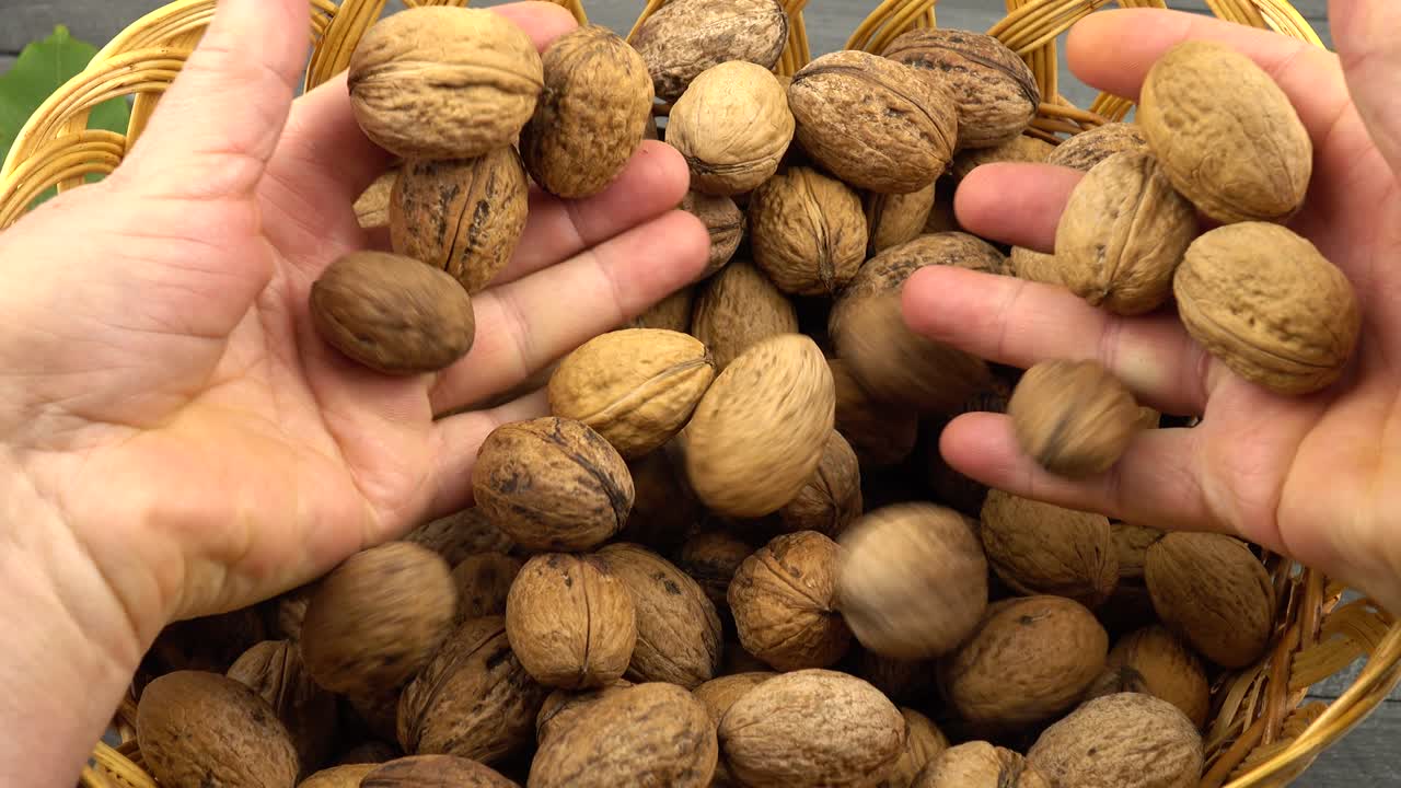 Harvest of  walnuts in a wicker basket