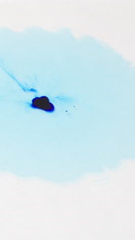 overhead vertical video shot of droplet of blue paint or dye dropped into water against white background to create swirling colourful pattern