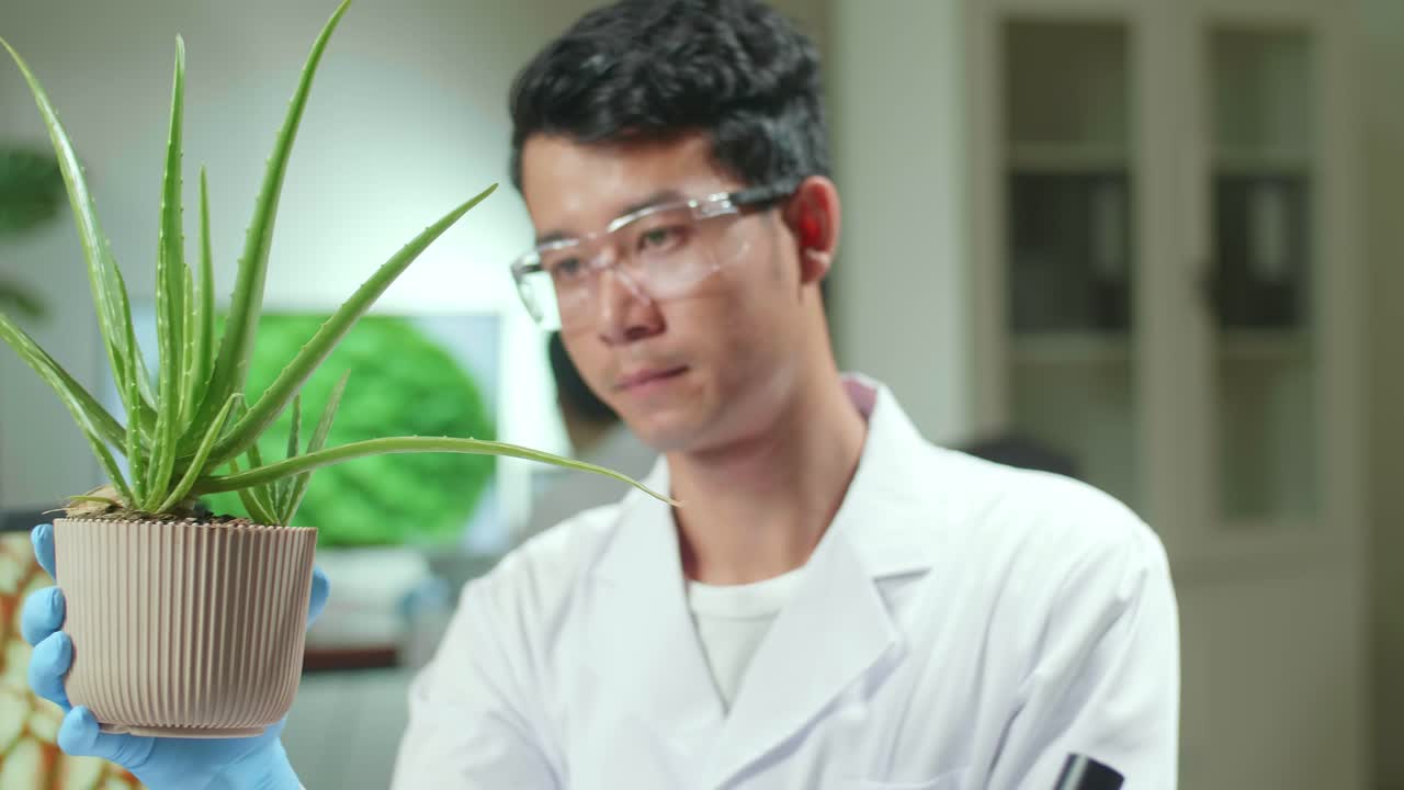 Asian Man Researcher Looking At Aloe Vera. Scientist Observing Genetic Mutation On Plants, Working In Agriculture Laboratory