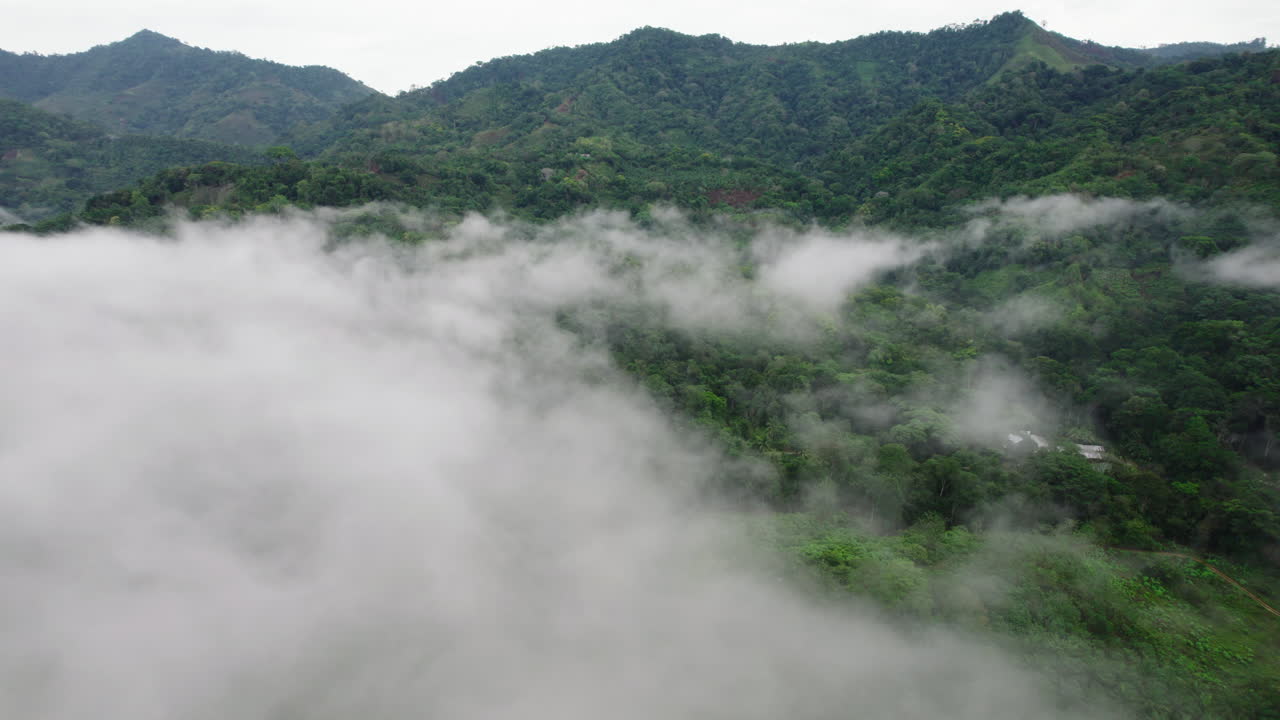 야생 자연의 공중 파노라마 뷰