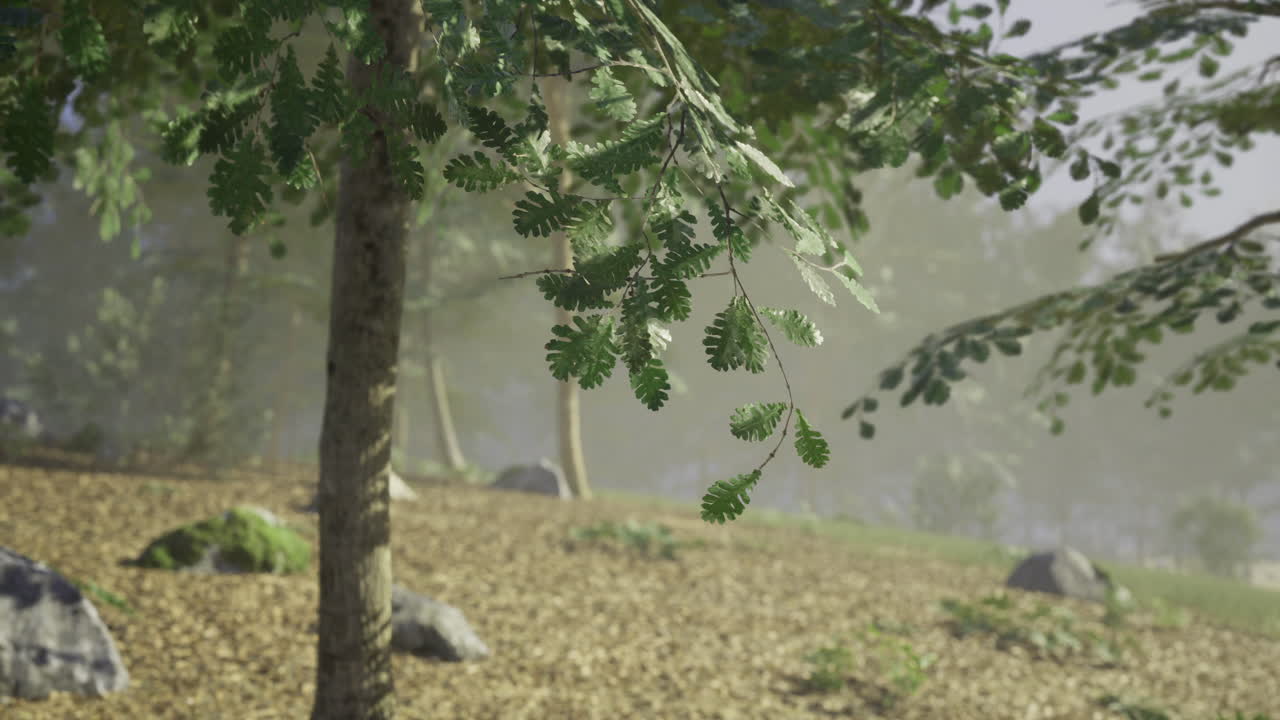 Lush green foliage swaying gently in a serene forest setting at dawn